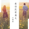 婧钰儿JY - 爱你没有意义