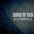 Sound of Rain on an Umbrella, Pt. 01