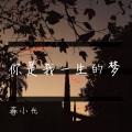 春小光 - 你是我一生的梦