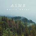 贵族音乐ASMR - 催眠大自然鸟鸣