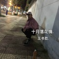 王书哲 - 十月落花情