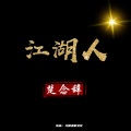 楚念辞 - 不找了 (DJ版)