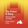 Voices Inside My Head (Samir Kuliev Remix)