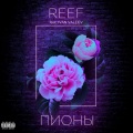 Reef、IVAN VALEEV - Пионы (OriginalMix(Explicit))