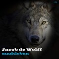 Jacob de Wolff、Jonny - Stadtleben