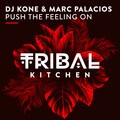 Dj Kone & Marc Palacios - Push the Feeling On