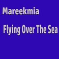 Flying over the Sea