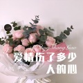 精彩成真 - 爱情伤了多少人的心 (Remix)