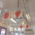 苏子孽 - 南无消灾延寿药师佛 (Remix)