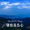 别怕我伤心