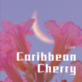 Caribbean Cherry (Remix)