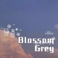 Blossom Grey (Remix)