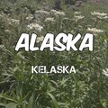 Kelaska - Alaska (Acoustic)