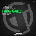 I Know Angels