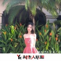 瑶妹、伊妹 - 老八秘制小汉堡