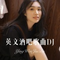 英文酒吧歌曲DJ