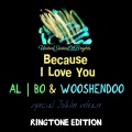 Because I Love You (Wooshendoo Remix)