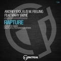 Andrey Exx、Elis M. Feeling - Rapture Feat. Mary Irene (SharapovRemix)