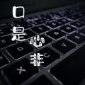 林金煌、竹君 - 口是心非