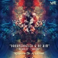Hasche - Requiem to a Dream (VariationVersion)