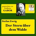 Der Stern über dem Walde