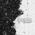 Mattias Fridell、Alexander Johansson - Besutten & Bespottad