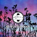 Rosie、Marie Gey - Stadtsommer (Radio Edit)