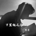 琼哥 - 万里桃花落