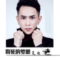 吴迪 - 将死的梦想
