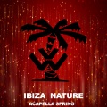 Ibiza Son - Voice Rave (DjTools)