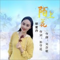 陌上花 (DJ何鹏版)