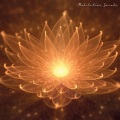 Charly McLion - Zen