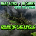 Sound of the Jungle