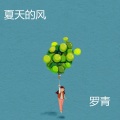 夏天的风