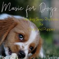 Dog Music Therapy、Dog Music Dreams、Relaxmydog - Midnight Echos