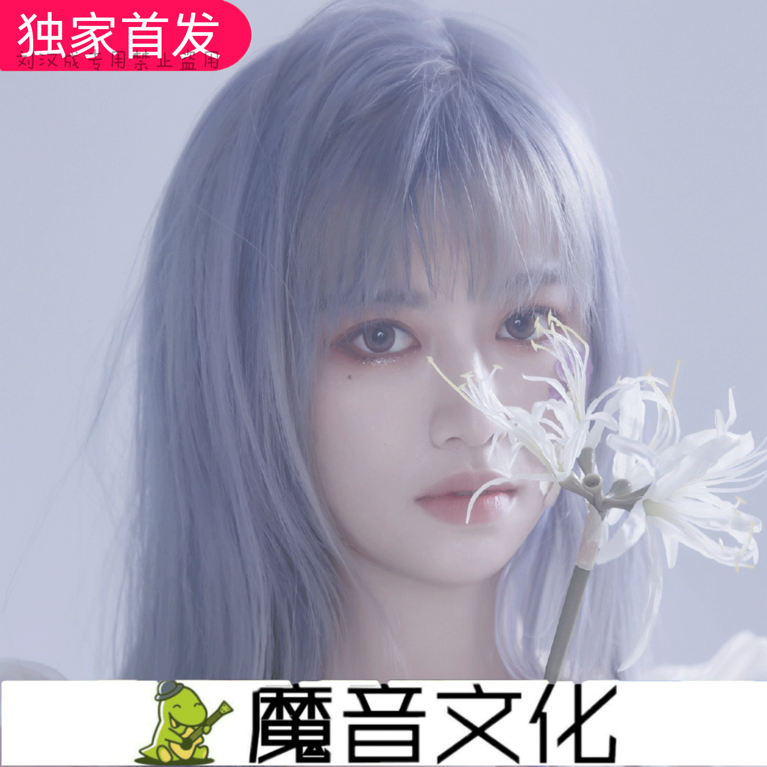 唐小力 - 遇见了你 (DJ咚鼓版)