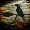 Project Hypoxia - Sakura (OriginalMix)