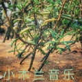 邓勃 - 最幸福的人