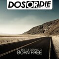 Big T、Gerald G! - Born Free