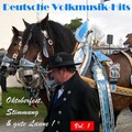 Deutsche Volksmusik Hits - Oktoberfest, Stimmung & gute Laune! Vol. 1 (Explicit)