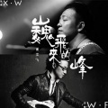 董文飞 - 像风一样自由