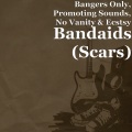 Bangers Only、Promoting Sounds、No Vanity、Ecstsy - Bandaids (Scars)(Explicit)