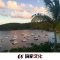 DJ - 迷人的危险