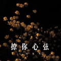 绪小尘 - 撩你心弦 (Remix)