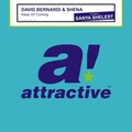 David Bernardi、Shèna - Keep On Coming