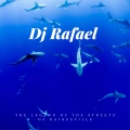 Michael、DJ Rafael - I never thought I'd make it like this (Explicit)