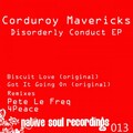 Corduroy Mavericks - Got It Going On (PeteLeFreqRemix)