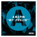 Am2Pm - My Feelin' (Tom Gianelli's Heavy Hands Remix)