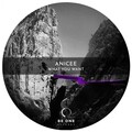 Anicée - What You Want (CeleRemix)