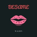 Walden - Besame (Explicit)